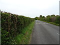 Minor road towards Walhampton