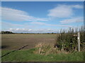 Bridleway across the field