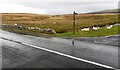 SE parapet  of Crooks Beck South Bridge taking Egdale Lane over stream