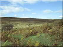 SX6982 : Dartmoor near East Bovey Head by Jonathan Thacker