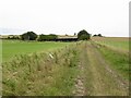 Farm track, Hubberlaw