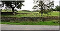 Fields on south side of Church Lane