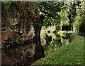 Bend in the Staffordshire and Worcestershire Canal