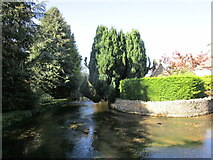 SP1620 : The River Windrush near The Mill House, Bourton on the Water by Jonathan Thacker
