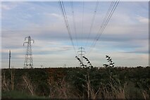 SP8260 : Pylons in Cogenhoe by David Howard