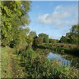 SK6139 : In Colwick Country Park by Alan Murray-Rust