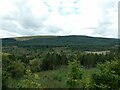 Tal Fechan forest from Brecon Mountain railway