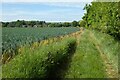 Farmland, Bentley