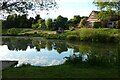 Pond and house, Binsted