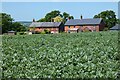 Farmland and cottages, Worldham