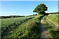 Track and farmland, Farringdon