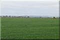 Romney Marshes farmland