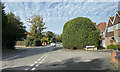 SP1193 : Blackham Drive meets Boldmere Road B73 by Robin Stott