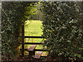 Stile on the Monarch Way Footpath, near Wookey Hole, Somerset