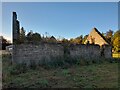 Derelict Building at Coltfield