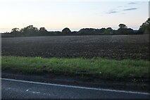 TL9777 : Field by Hopton Road, Market Weston by David Howard