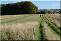 SU2476 : Byway and farmland, Aldbourne by Andrew Smith