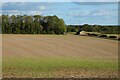 Farmland, Mildenhall