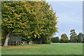 View along the edge of the playing field, Milton Lilbourne