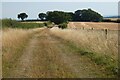 Track and farmland, Letcombe Regis