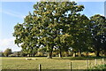 Field beside the railway, near Fairfield Farm