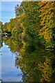 Winsley : Kennet & Avon Canal