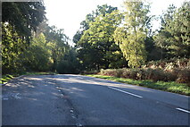 TL0037 : Woburn Road west of Millbrook by David Howard