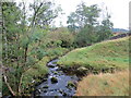 Buckie Burn and a tributary