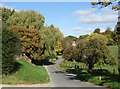 Early Autumn in Swinbrook