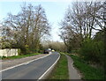 Salisbury Road (A338)