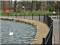 Path between larger and smaller lakes, Clissold Park