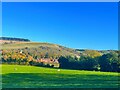 Looking over at East Meon from Duncombe  farm