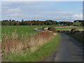 Road near Mellerstain