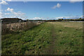 Footpath near Calverton