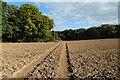 Farmland, Chalfont St Peter