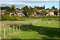 Pasture, Chalfont St Giles