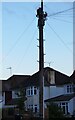 SP7463 : Traditional telegraph pole on Welford Road, Kingsthorpe by David Howard