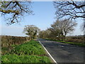 A338 towards Salisbury