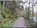 Track beside Loch Ard