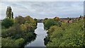 River Don Navigation at Swinton