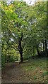 Footpath near River Ericht