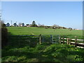 Footpath off Lower Road