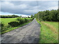 Road (B835) approaching Ward Toll Wood