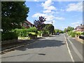 Lime Avenue, Northwich