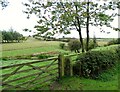 Field gate on Outputs Lane