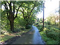 Minor road near Sigheag, Strathyre