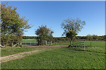 SU9486 : Footpath at Abbey Park Farm by Des Blenkinsopp