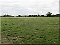 SJ5858 : Pasture, Bunbury by Richard Webb