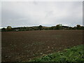 Harrowed field and the edge of Bredon Hill