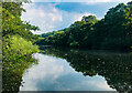 Compstall Nature Reserve Lake